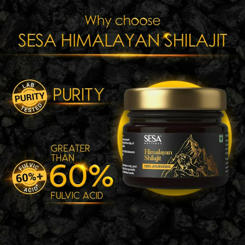 https://cdn.shopify.com/s/files/1/1857/6931/products/pkamhTOUwz.jpg?v=1693894139