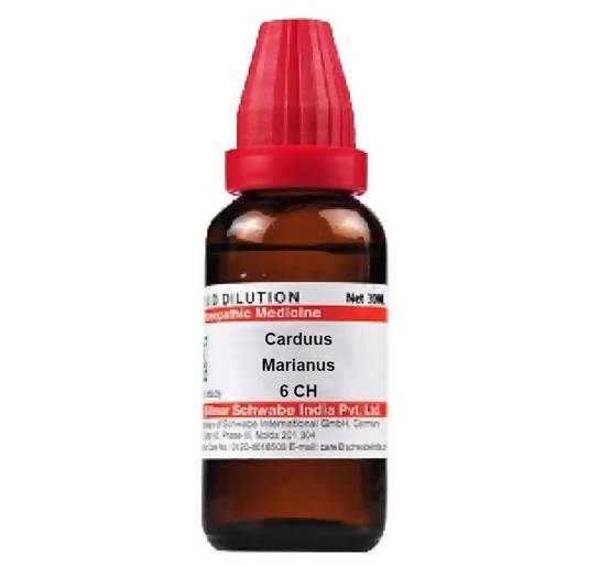 https://cdn.shopify.com/s/files/1/1857/6931/products/plyKMQPu37.jpg?v=1641299428