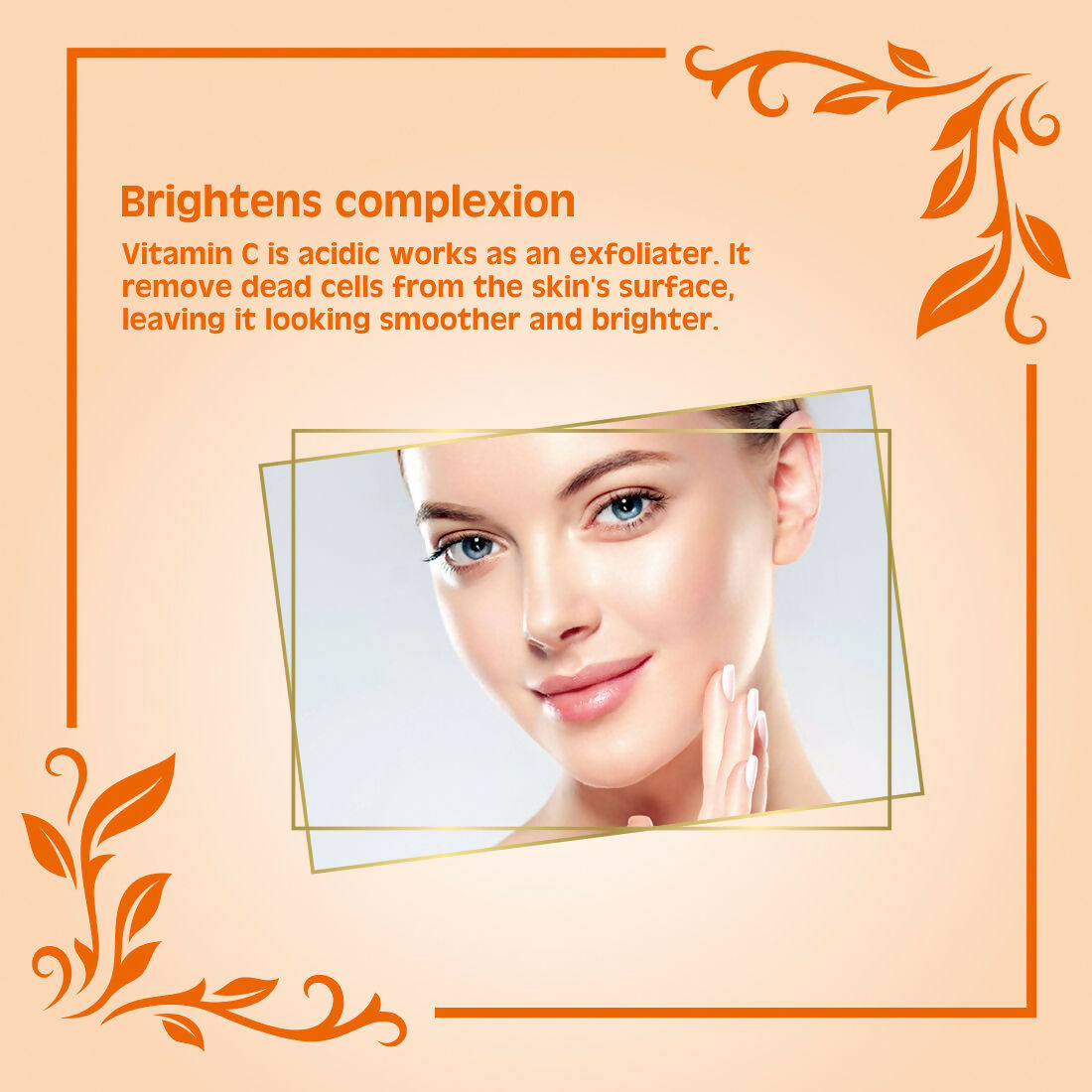 https://cdn.shopify.com/s/files/1/1857/6931/files/pmF9zyLR8g.jpg?v=1732017726