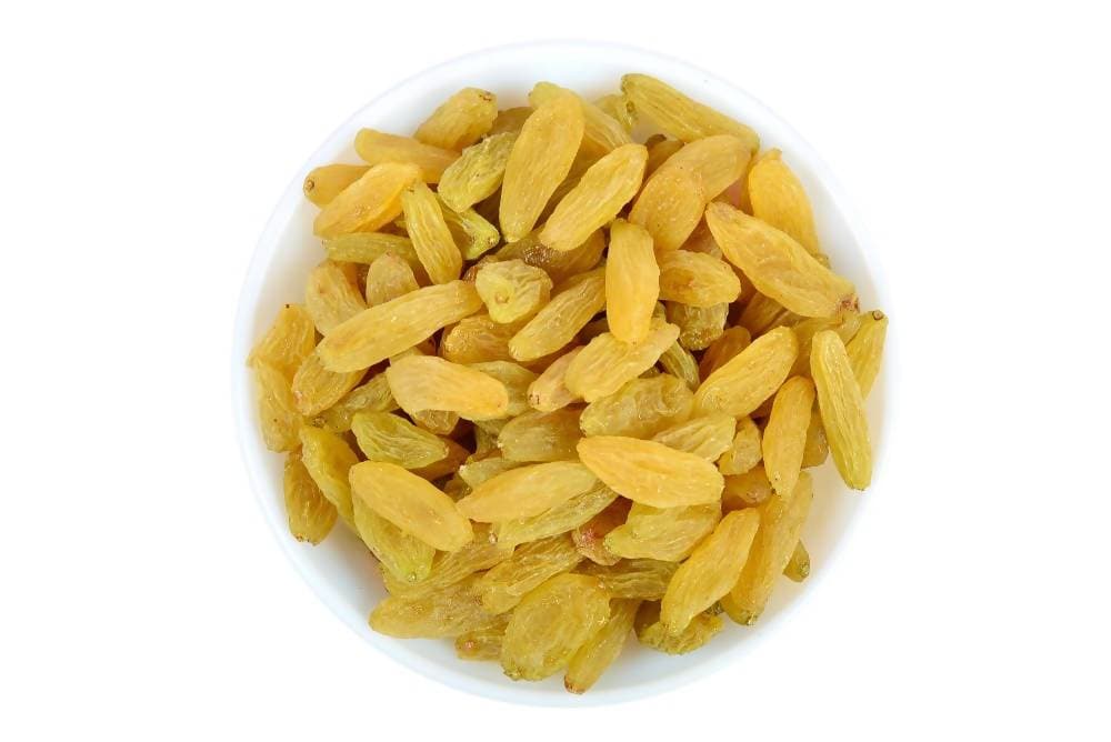 https://cdn.shopify.com/s/files/1/1857/6931/products/pmHMpTmhi1.jpg?v=1762274429