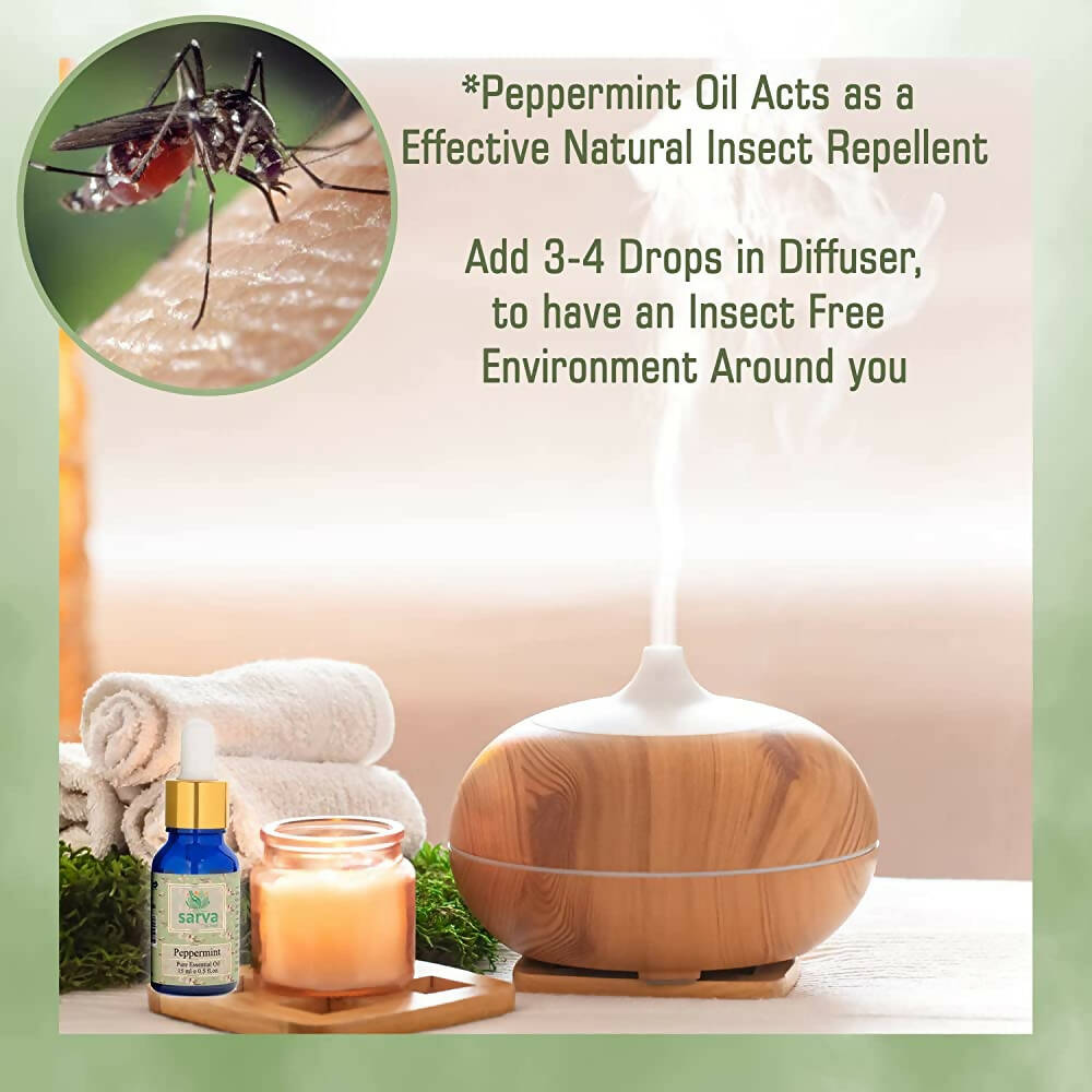 https://cdn.shopify.com/s/files/1/1857/6931/products/pmldBFZZWS.jpg?v=1670652068
