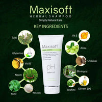 https://cdn.shopify.com/s/files/1/1857/6931/products/pmuxs6PnfI.jpg?v=1703594734