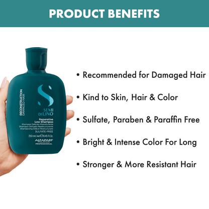 https://cdn.shopify.com/s/files/1/1857/6931/files/pruSVzqwvy-615270.png?v=1736146326