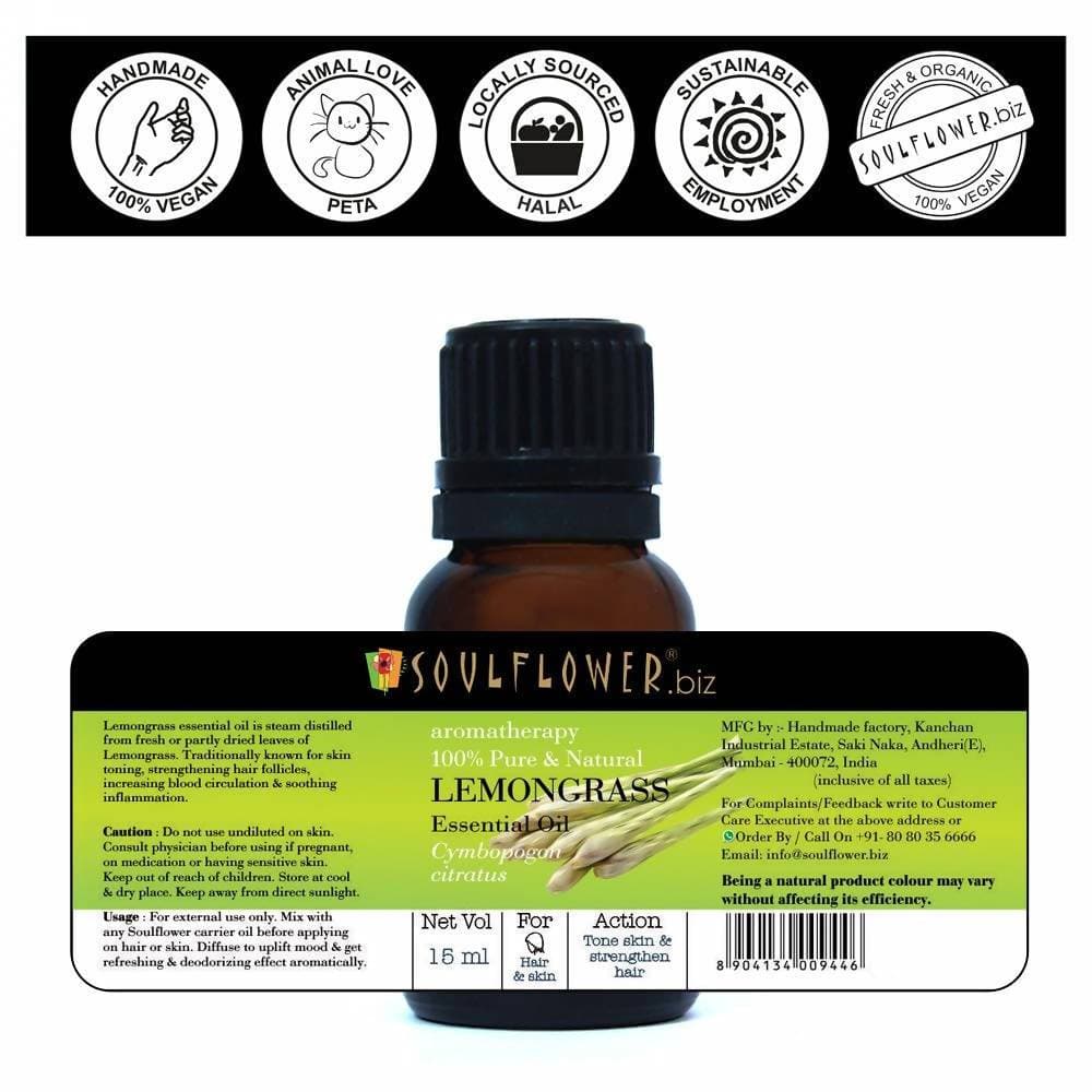 https://cdn.shopify.com/s/files/1/1857/6931/products/psnKYtyqZr.jpg?v=1614911245