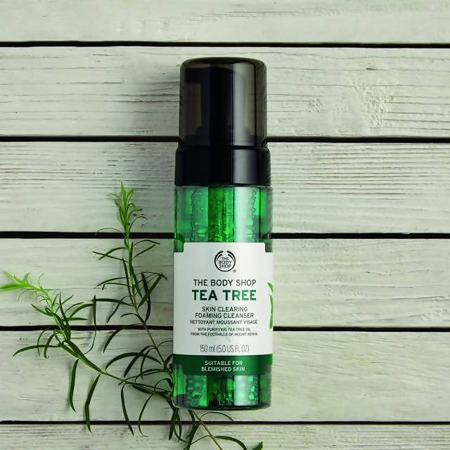 https://cdn.shopify.com/s/files/1/1857/6931/products/pt0AjFIoo7.jpg?v=1629803521