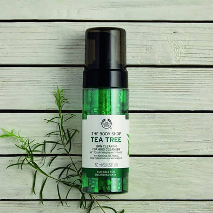 https://cdn.shopify.com/s/files/1/1857/6931/products/pt0AjFIoo7.jpg?v=1629803521