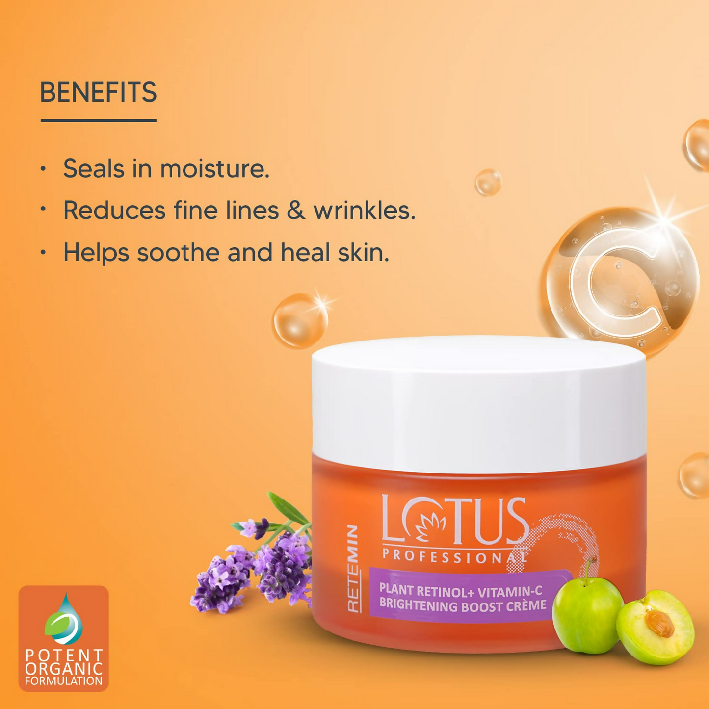 https://cdn.shopify.com/s/files/1/1857/6931/files/pu0Flfa6Hn.png?v=1720516439