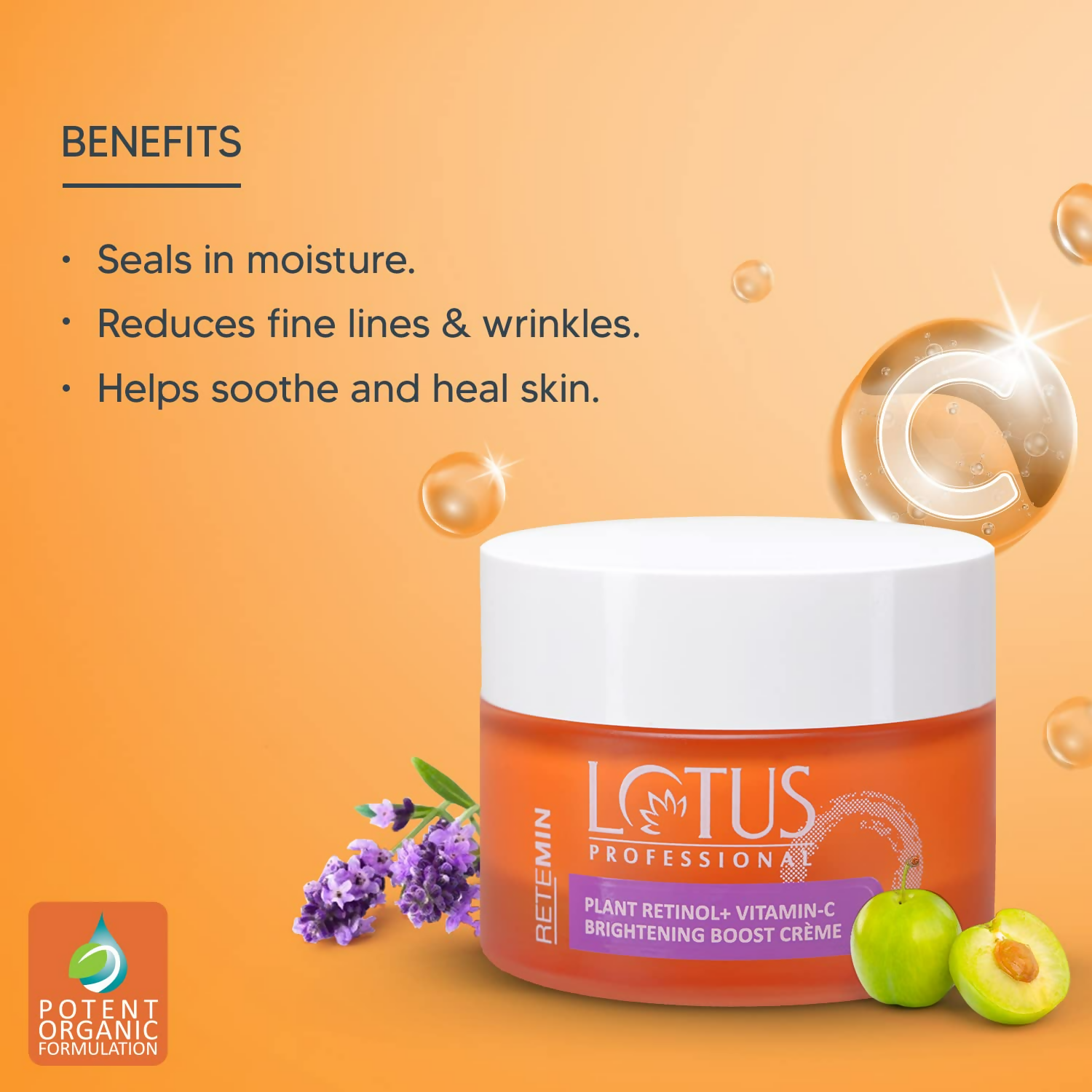 https://cdn.shopify.com/s/files/1/1857/6931/files/pu0Flfa6Hn.png?v=1720516439