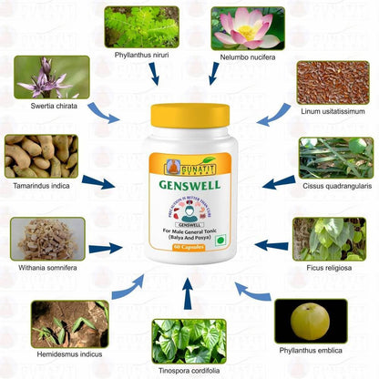 https://cdn.shopify.com/s/files/1/1857/6931/products/puGvGNwFfU.jpg?v=1613916474