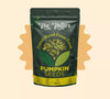 https://cdn.shopify.com/s/files/1/1857/6931/files/pumpkin-front-69b8d8085edbb.webp?v=1778507047