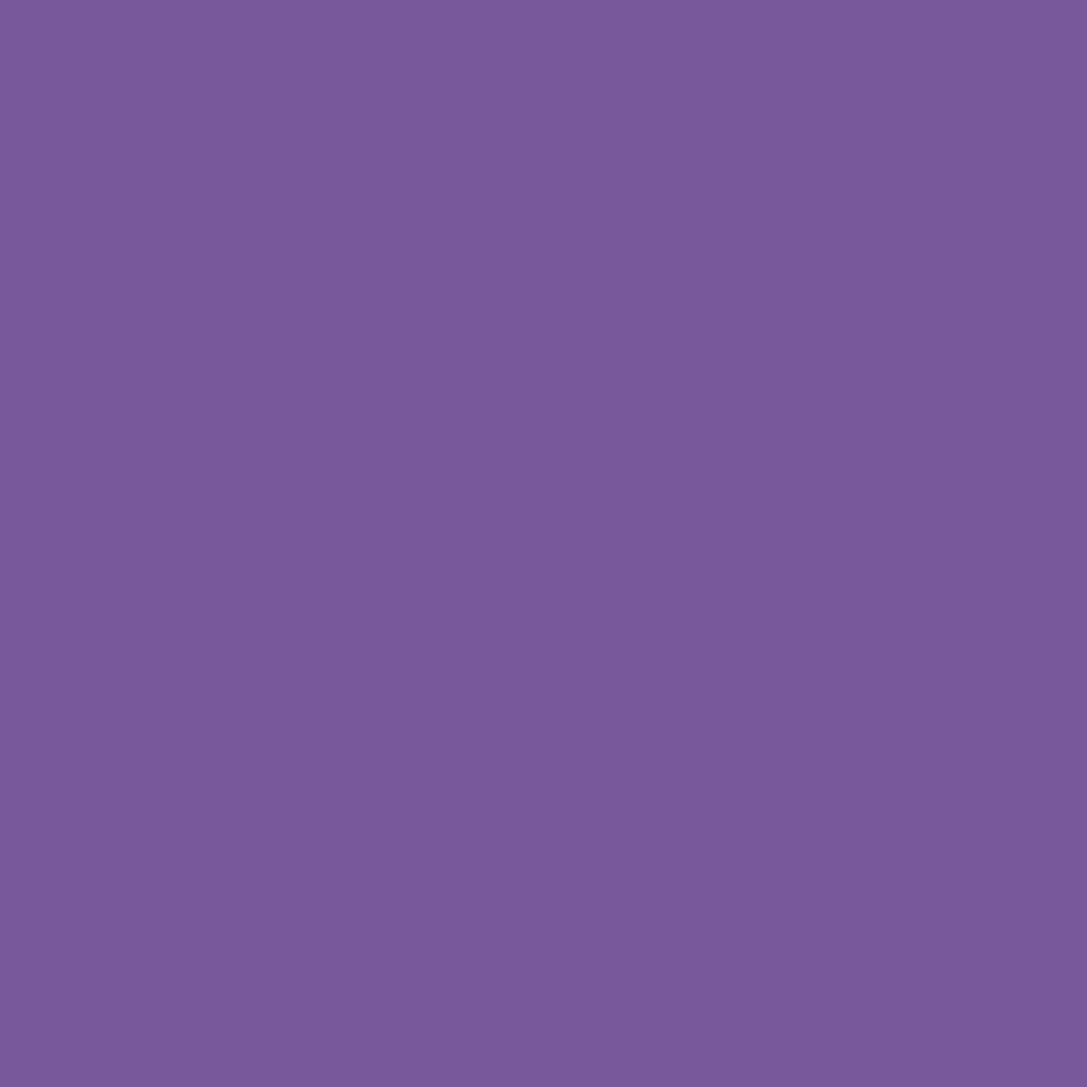 https://cdn.shopify.com/s/files/1/1857/6931/files/purple-block_954e23c6-ad6f-4be2-8cd3-7fb45acb7796.jpg?v=1769696223