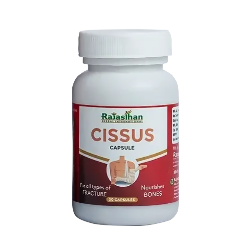 https://cdn.shopify.com/s/files/1/1857/6931/files/pvwaj3ItYg.png?v=1760515227
