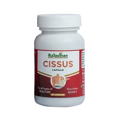 https://cdn.shopify.com/s/files/1/1857/6931/files/pvwaj3ItYg.png?v=1760515227