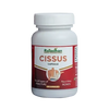 https://cdn.shopify.com/s/files/1/1857/6931/files/pvwaj3ItYg.png?v=1760515227