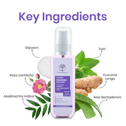 https://cdn.shopify.com/s/files/1/1857/6931/files/pxa3kgl5uU.png?v=1729851370