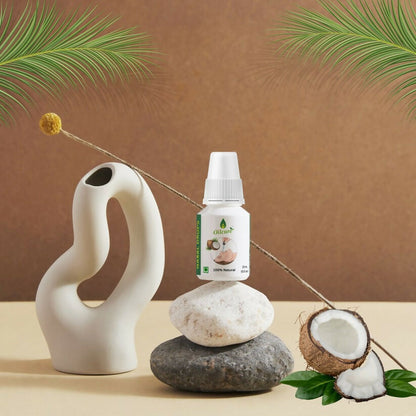 https://cdn.shopify.com/s/files/1/1857/6931/files/pxh6xyMgOy.jpg?v=1745814294