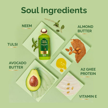 https://cdn.shopify.com/s/files/1/1857/6931/files/pxuQacqfIq.jpg?v=1724156113