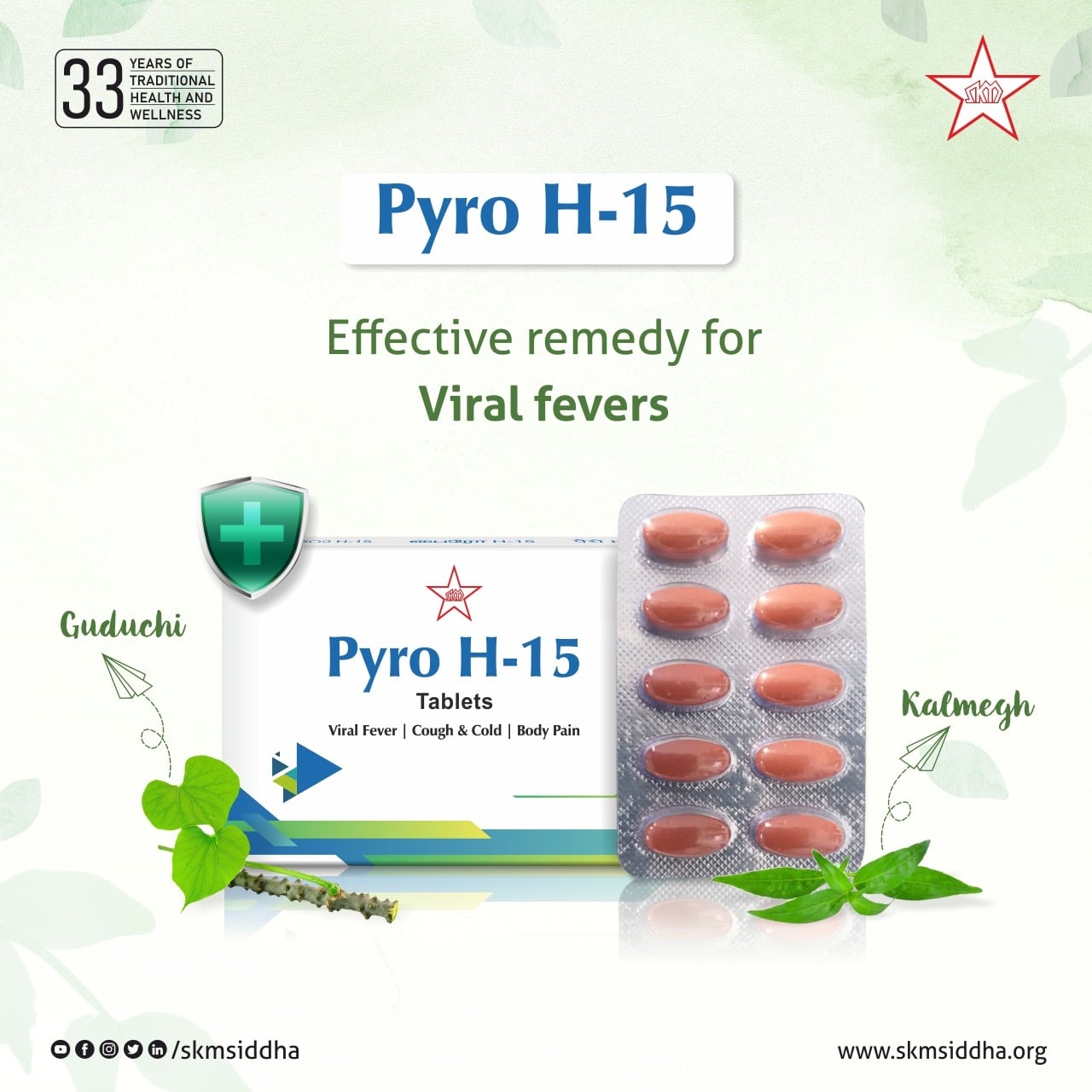 https://cdn.shopify.com/s/files/1/1857/6931/files/pyro-h-15-11748517361.jpg?v=1762323882