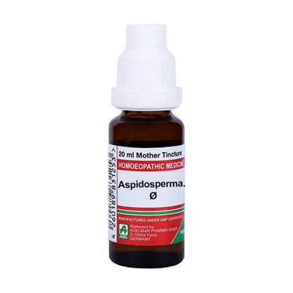 https://cdn.shopify.com/s/files/1/1857/6931/files/pznOIWOxd4-624209.jpg?v=1736143317