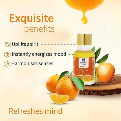https://cdn.shopify.com/s/files/1/1857/6931/files/q6Y5ezifAv-597285.jpg?v=1736150880