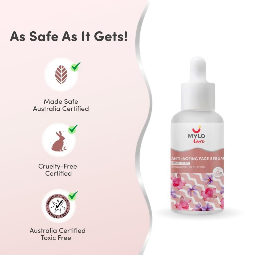 https://cdn.shopify.com/s/files/1/1857/6931/files/qAQWuuW2il.png?v=1737722321