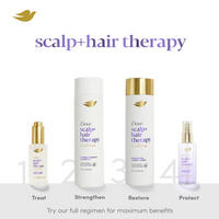 https://cdn.shopify.com/s/files/1/1857/6931/files/qAk2b1Ju0U.png?v=1741147315
