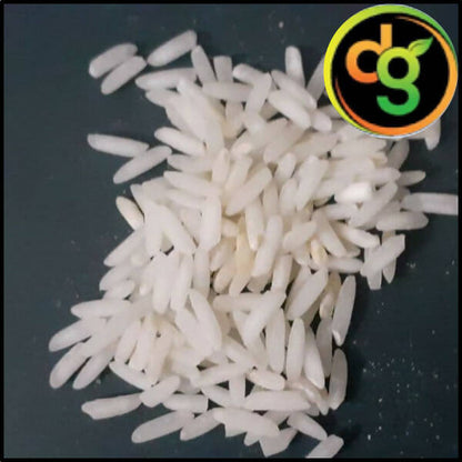 https://cdn.shopify.com/s/files/1/1857/6931/products/qE6edkunWY.jpg?v=1662630312