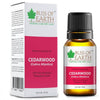 https://cdn.shopify.com/s/files/1/1857/6931/products/qE8AIh0qje.jpg?v=1759368161