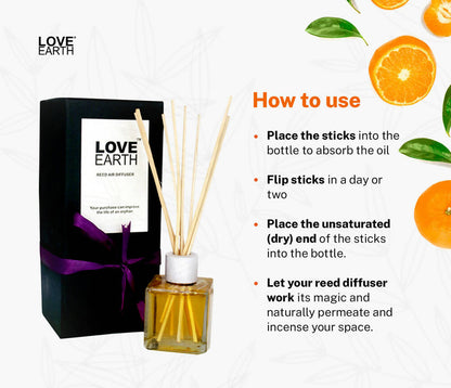 https://cdn.shopify.com/s/files/1/1857/6931/products/qJC3vI13tk.jpg?v=1665840638