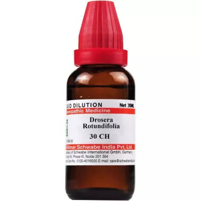 https://cdn.shopify.com/s/files/1/1857/6931/products/qLSNTVKjAV.jpg?v=1655105394