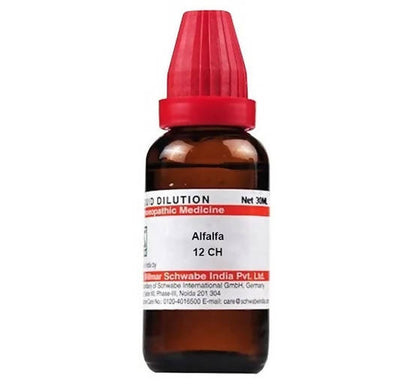 https://cdn.shopify.com/s/files/1/1857/6931/products/qOEfCeN53W.jpg?v=1641369447
