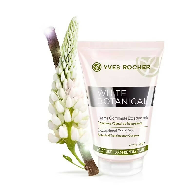 https://cdn.shopify.com/s/files/1/1857/6931/products/qVFmqDNRjn.jpg?v=1662814679