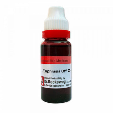 https://cdn.shopify.com/s/files/1/1857/6931/products/qWtuTLMJrU.jpg?v=1638018909