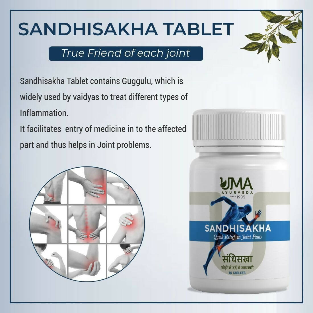 https://cdn.shopify.com/s/files/1/1857/6931/products/qWy8BASKkf.jpg?v=1707828922