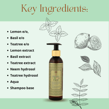 https://cdn.shopify.com/s/files/1/1857/6931/products/qXvhPYcVce.jpg?v=1663400773