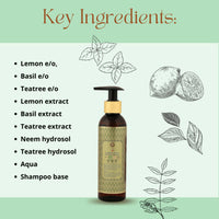 https://cdn.shopify.com/s/files/1/1857/6931/products/qXvhPYcVce.jpg?v=1663400773