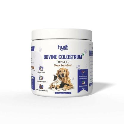 https://cdn.shopify.com/s/files/1/1857/6931/files/qYLZtugJk8.jpg?v=1767688333