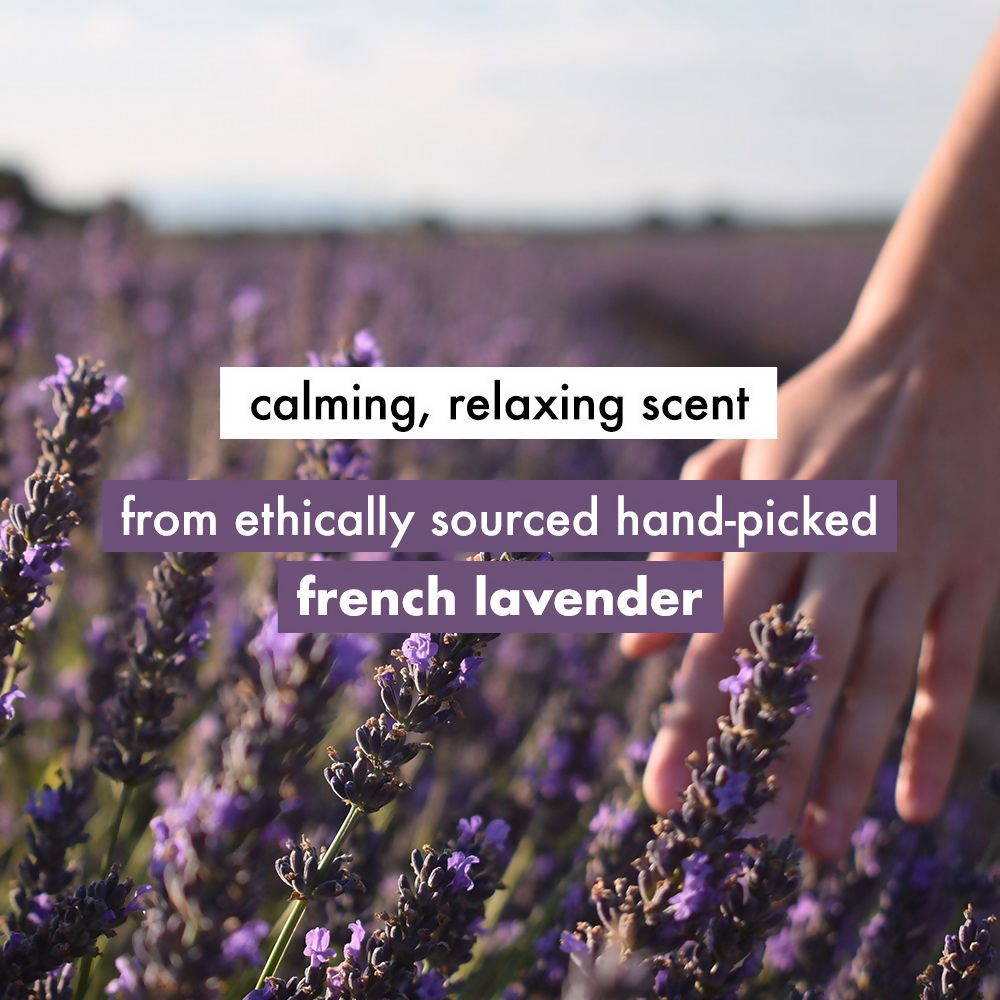 https://cdn.shopify.com/s/files/1/1857/6931/files/qYihe0Mdnn.png?v=1730287571