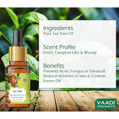 https://cdn.shopify.com/s/files/1/1857/6931/products/qd4fs9r6Tv.jpg?v=1618540038