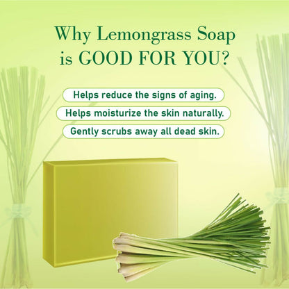 https://cdn.shopify.com/s/files/1/1857/6931/files/qe0F8Zaxz2.jpg?v=1715003087