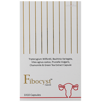 https://cdn.shopify.com/s/files/1/1857/6931/files/qlWJb4196H.png?v=1727784440