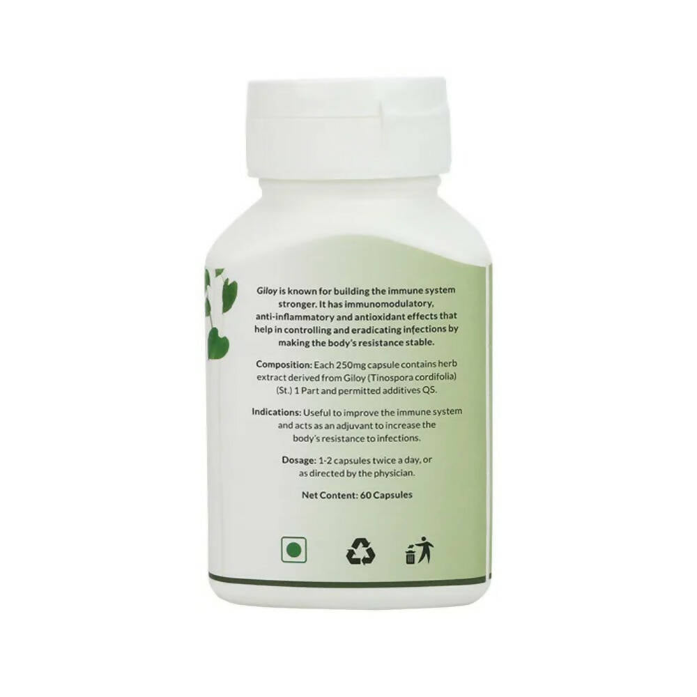 https://cdn.shopify.com/s/files/1/1857/6931/products/qnioDzX4YC.jpg?v=1668061307