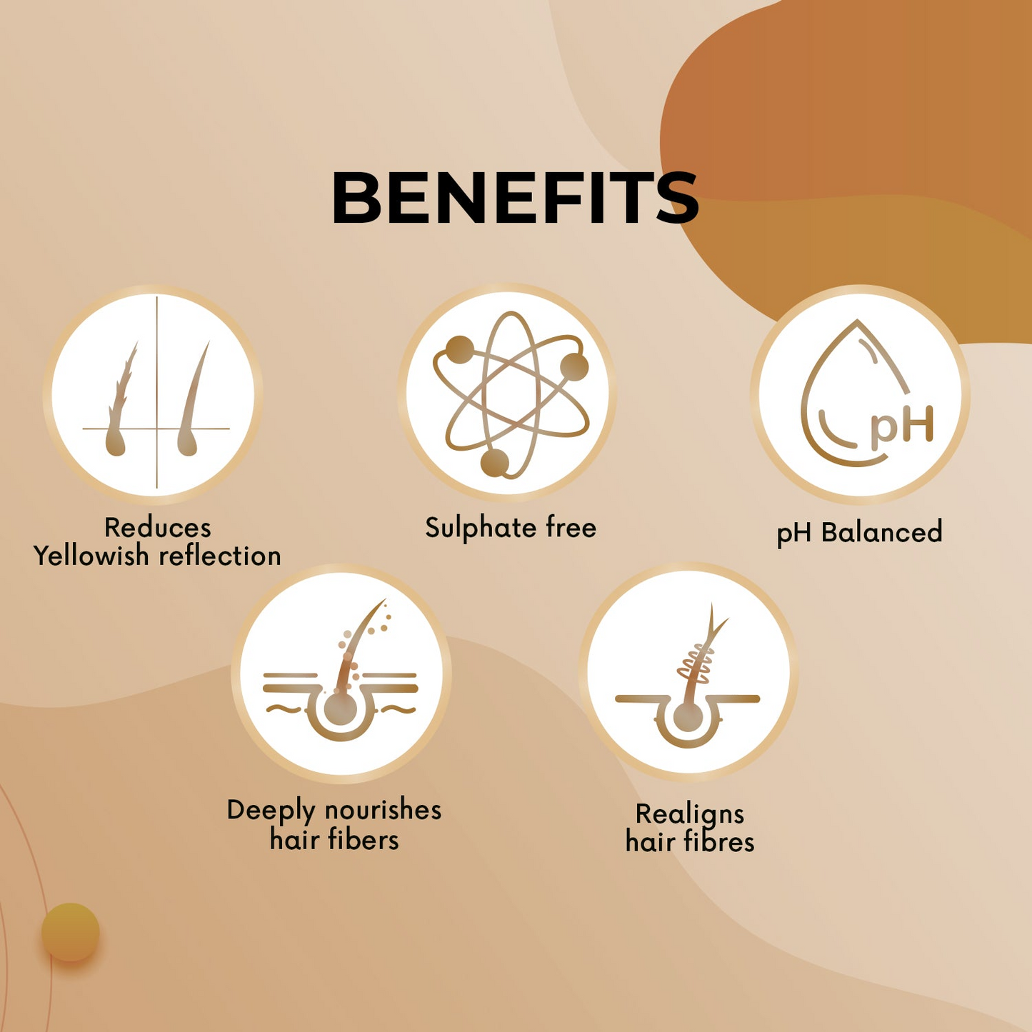 https://cdn.shopify.com/s/files/1/1857/6931/files/qod_conditioner_3.png?v=1761635393