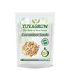 https://cdn.shopify.com/s/files/1/1857/6931/products/qowG3BPVue.jpg?v=1762373943