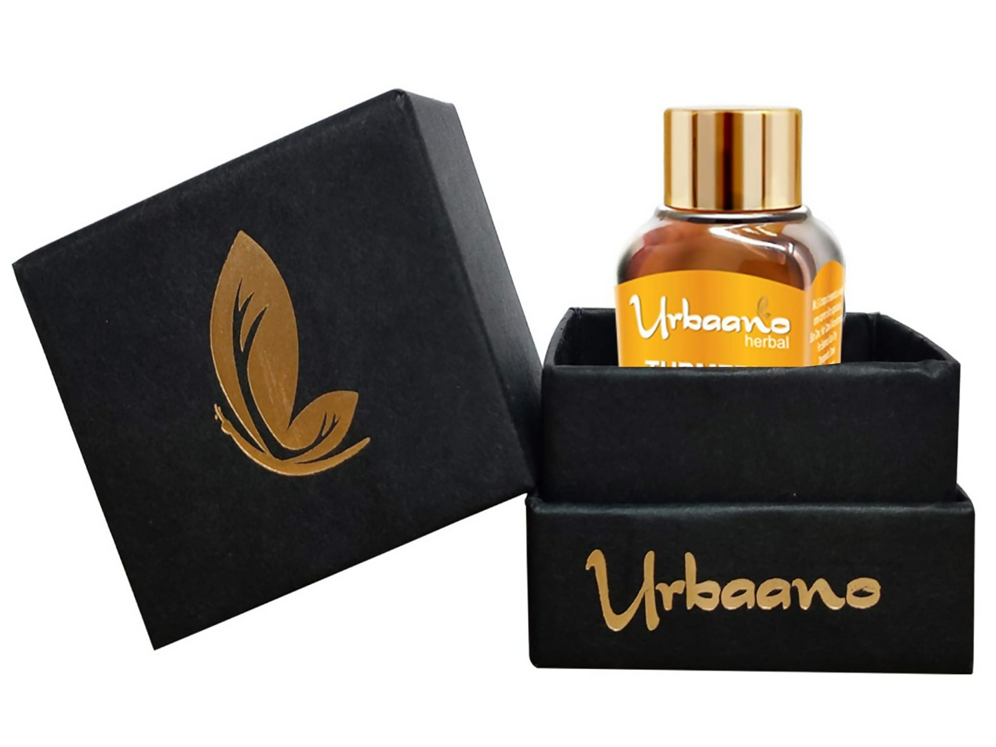 https://cdn.shopify.com/s/files/1/1857/6931/files/qozj9gEirl.png?v=1746602696