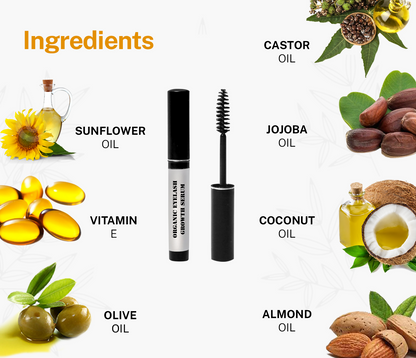 https://cdn.shopify.com/s/files/1/1857/6931/products/qp0vxkxDCV.png?v=1713166808