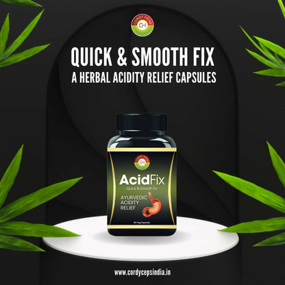 https://cdn.shopify.com/s/files/1/1857/6931/files/qrrM8DPHhu.jpg?v=1719224380