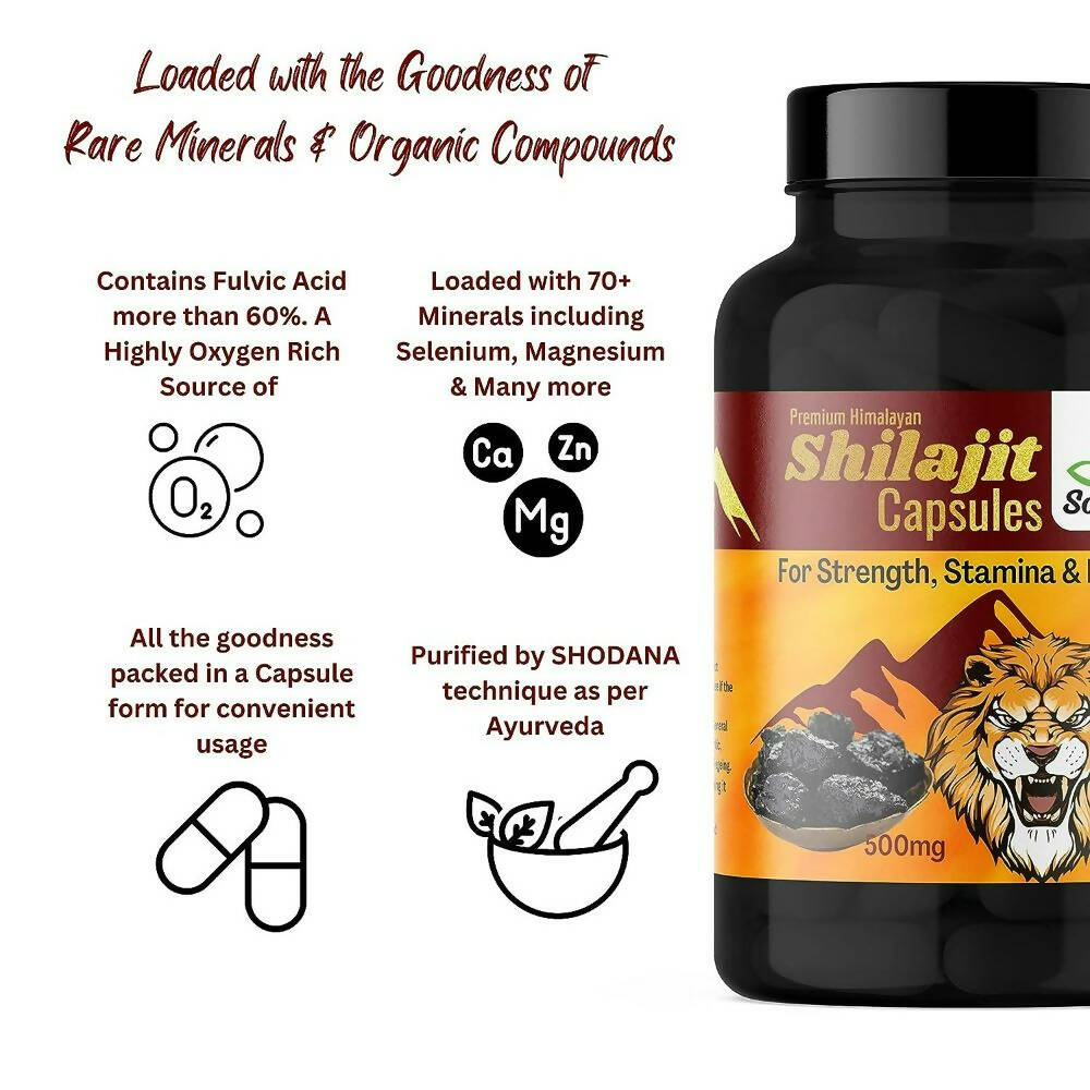 https://cdn.shopify.com/s/files/1/1857/6931/products/qsFEM7rmhs.jpg?v=1693901204