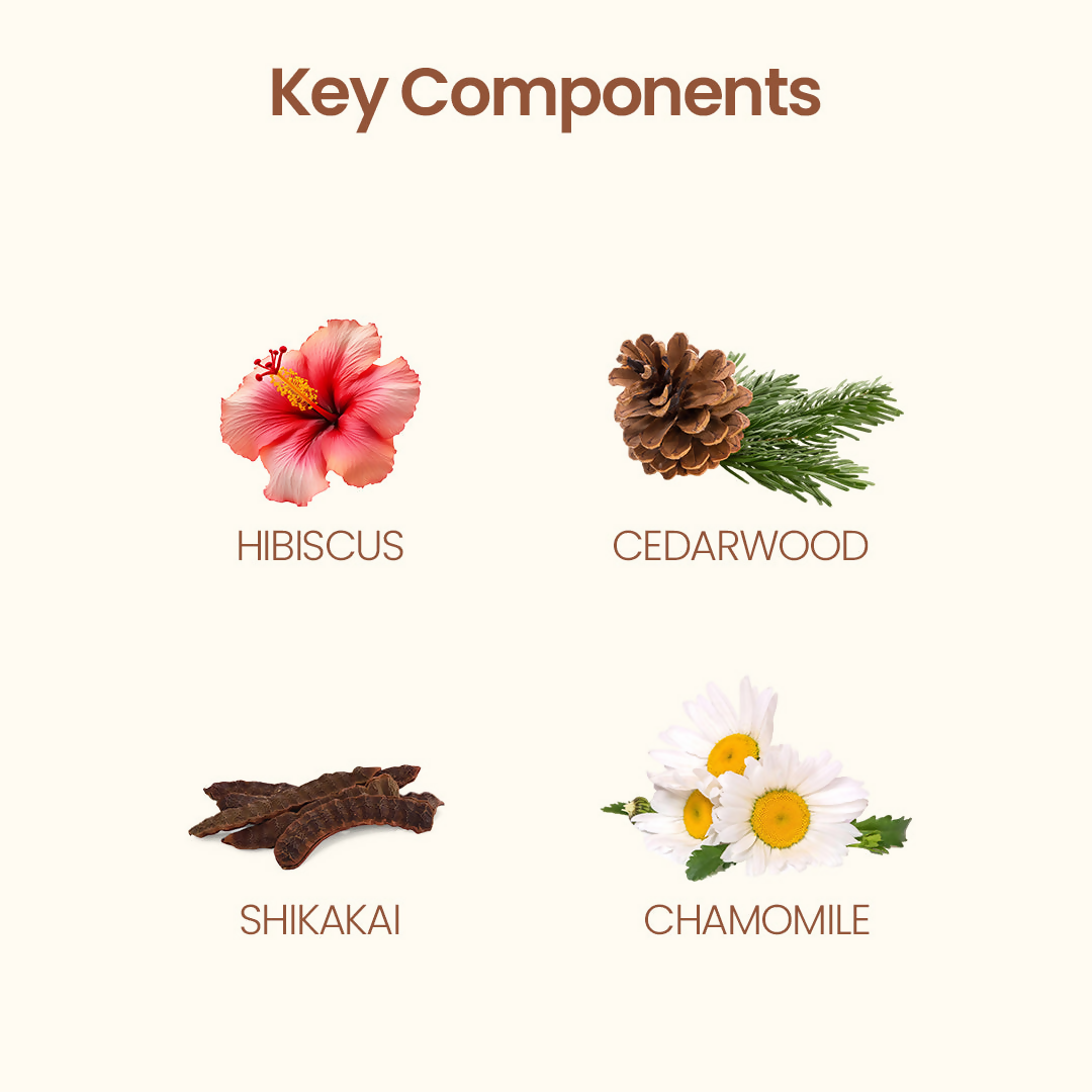 https://cdn.shopify.com/s/files/1/1857/6931/files/qsrUMeEHf7.png?v=1751701313