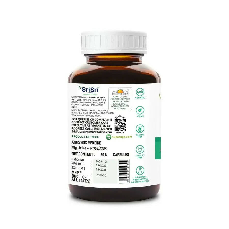 https://cdn.shopify.com/s/files/1/1857/6931/products/qwZvQeWD2q.jpg?v=1665568859